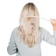 Thumbnail of: 2536