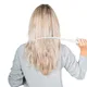 Thumbnail of: 2537