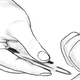 Thumbnail of: 2607