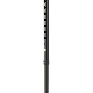 Wandelstok – zwart