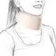 Thumbnail of: 2878